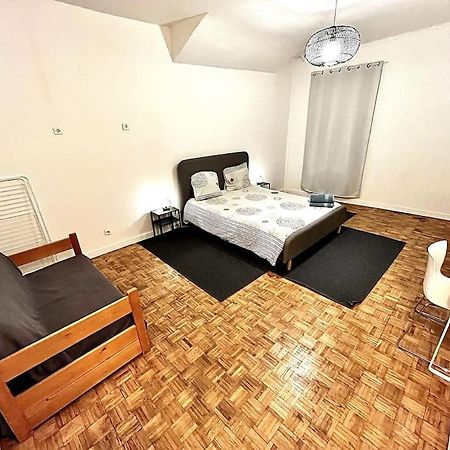 Grenoble Hypercentre - Appartement Vieille Ville - Wifi Екстериор снимка